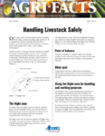 Handling Livestock Safely
