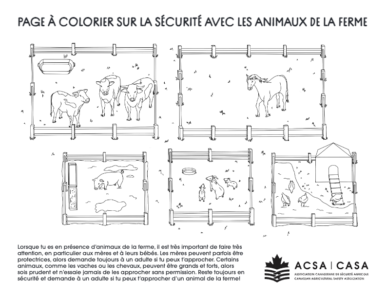 Coloriage —Page à colorier sur la sécurité avec les animaux de la ferme