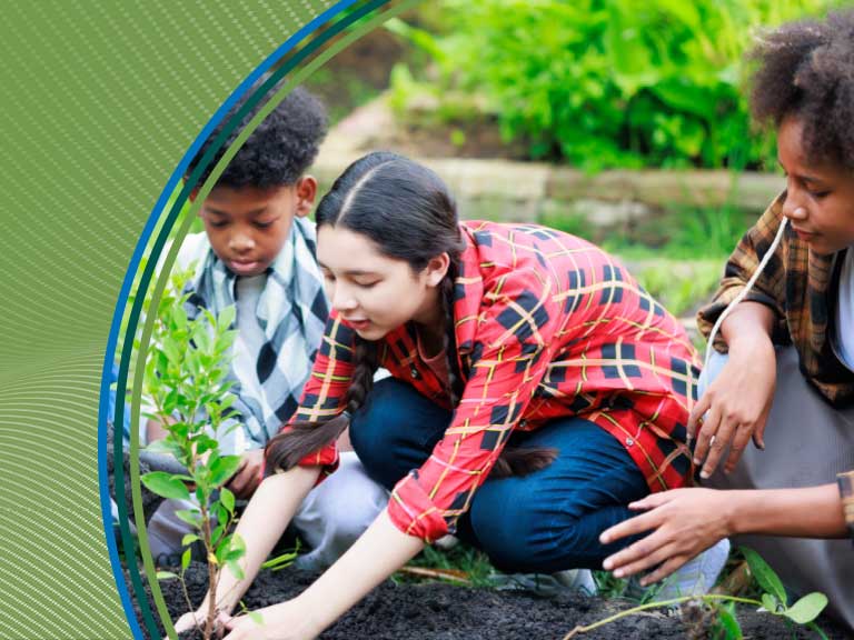 Planting young seedlings in a community garden with children and an adult.