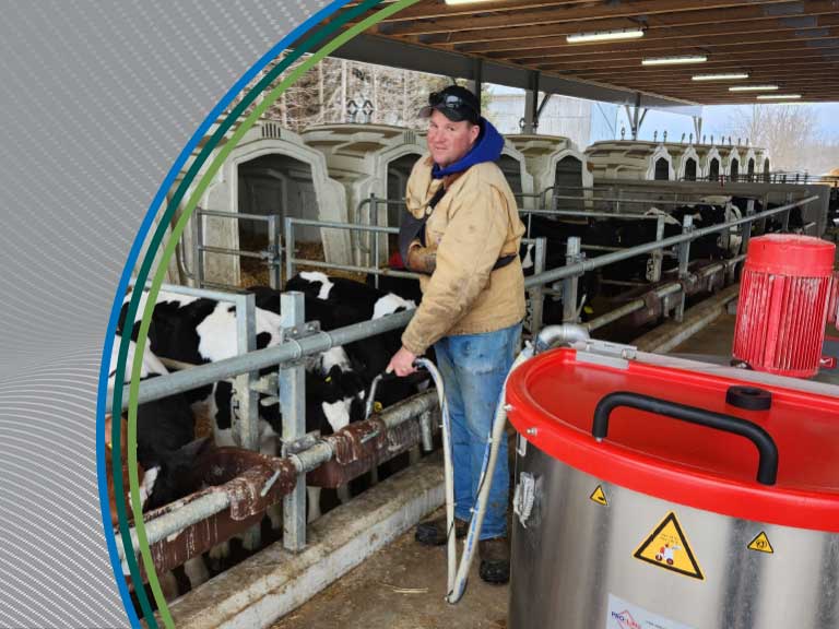 Cattle farm worker inspecting livestock in a barn with safety equipment.