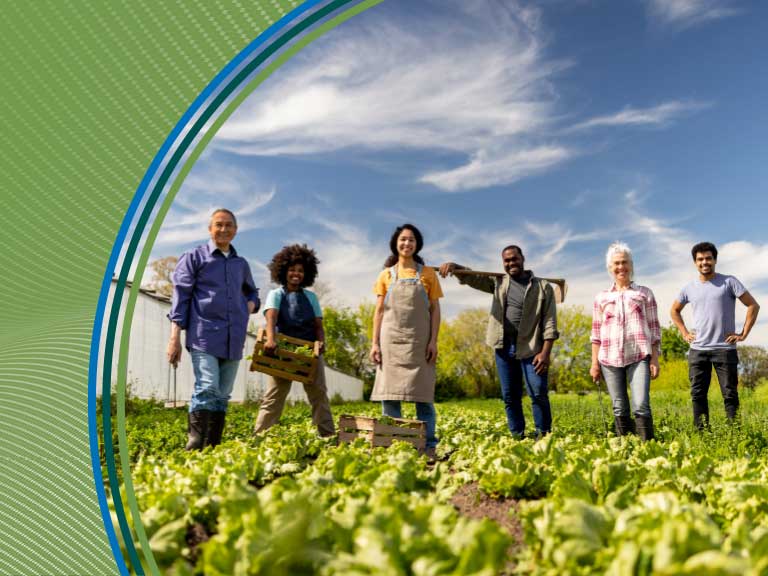 Healthy farmers working in a lush vegetable field on a sunny day in Canada.