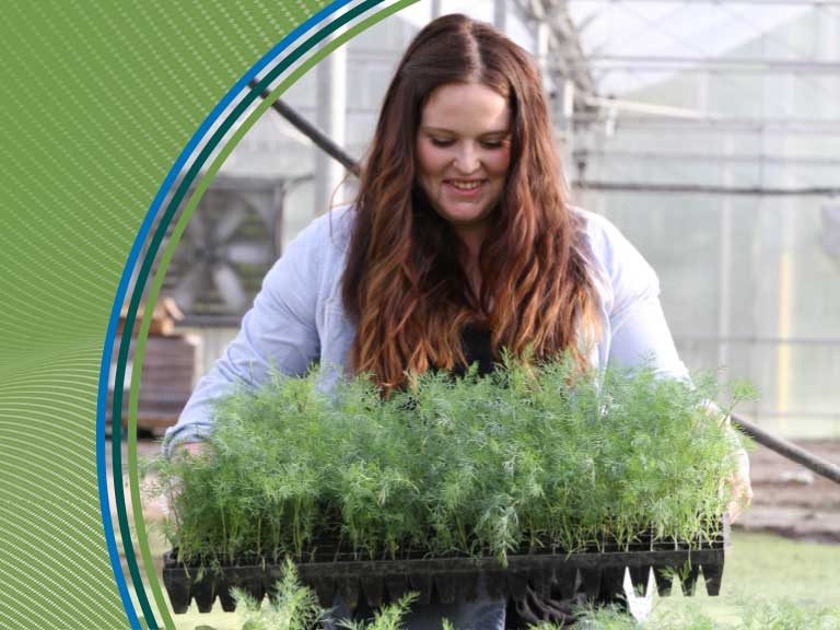 Young woman tending to green seedlings in a greenhouse.